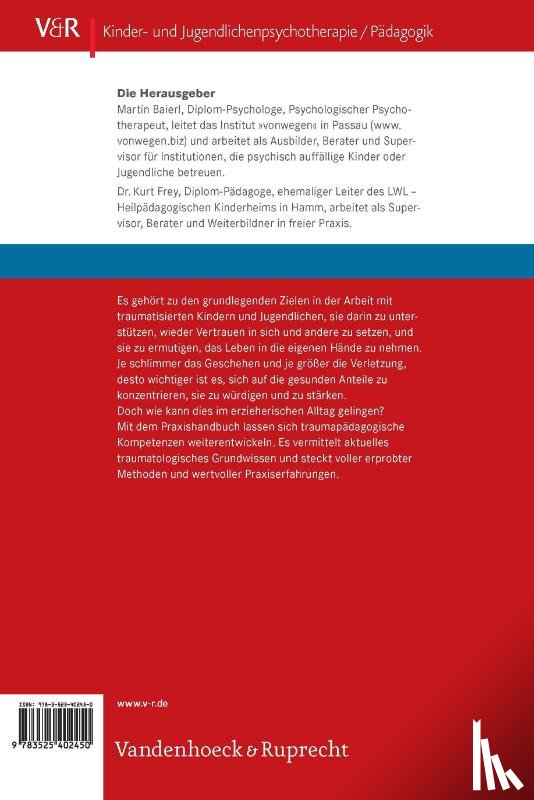 Baierl, Martin, Frey, Kurt - Praxishandbuch Traumapadagogik