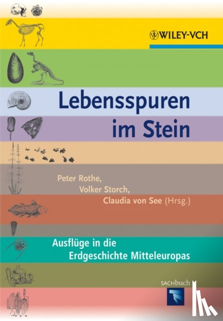  - Lebensspuren im Stein