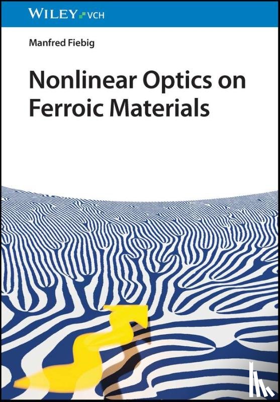 Fiebig, Manfred (University of Dortmund - Nonlinear Optics on Ferroic Materials