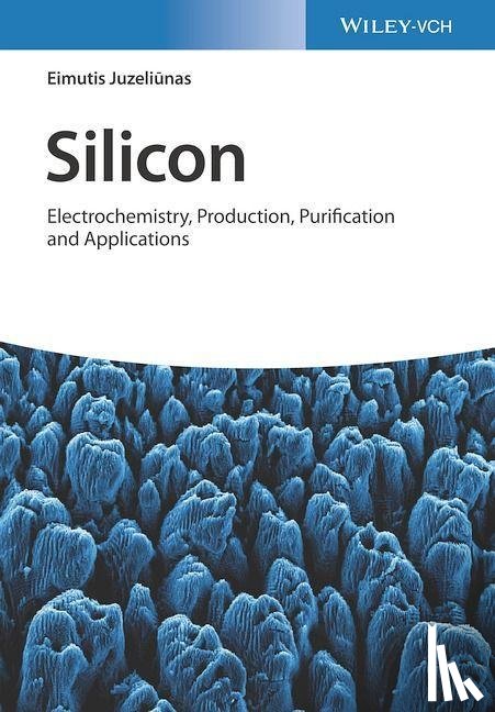 Juzeliunas, Eimutis - Silicon