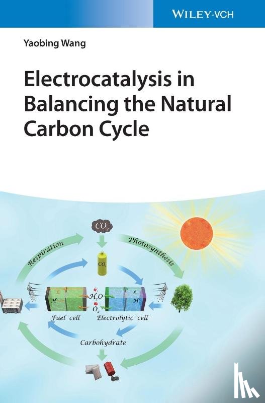 Wang, Yaobing (Chinese Academy of Sciences) - Electrocatalysis in Balancing the Natural Carbon Cycle