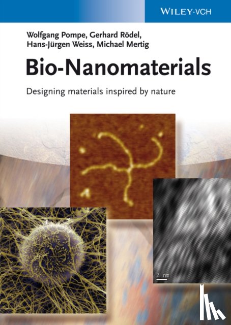 Pompe, Wolfgang (TU Dresden - Materials Science), Rodel, Gerhard (TU Dresden - Genetics), Weiss, Hans-Jurgen (Rabenau), Mertig, Michael (TU Dresden) - Bio-Nanomaterials