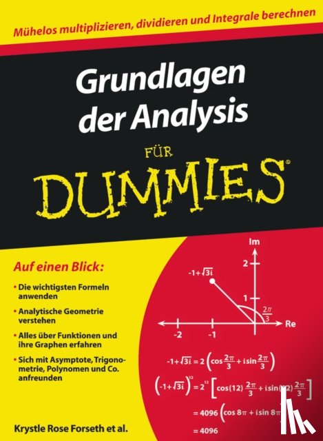 Forseth, Krystle Rose, Burger, Christopher, Gilman, Michelle Rose, Rumsey, Deborah J. - Grundlagen der Analysis fur Dummies