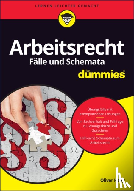 Haag, Oliver - Arbeitsrecht Falle und Schemata fur Dummies