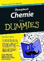 Peter J. Mikulecky, Katherine Brutlag, Michelle Rose Gilman, Brian Peterson - UEbungsbuch Chemie fur Dummies