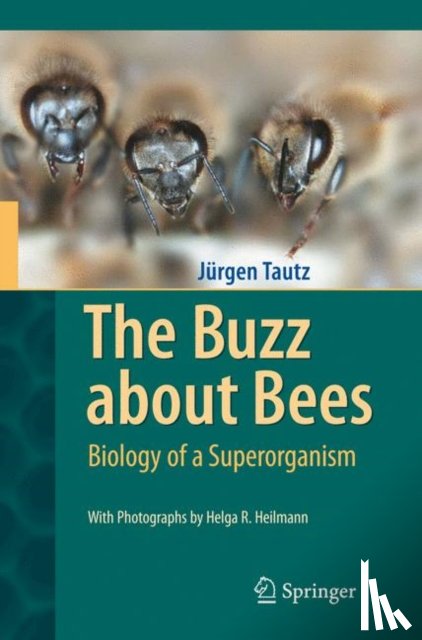 Tautz, Jurgen - The Buzz about Bees