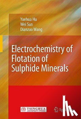 Yuehua Hu, Wei Sun, Dianzuo Wang - Electrochemistry of Flotation of Sulphide Minerals