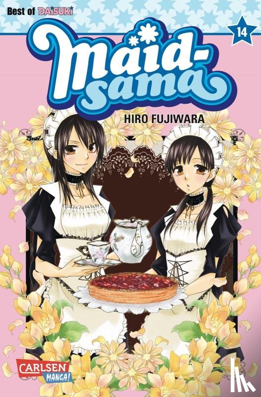 Fujiwara, Hiro - Maid-sama 14