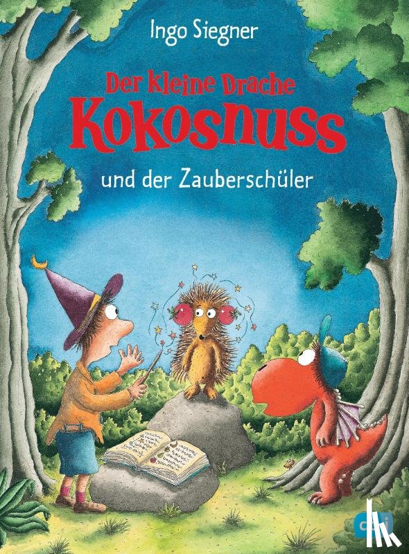 Siegner, Ingo - Der kleine Drache Kokonuss und der Zauberschuler
