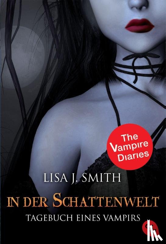 Smith, Lisa J. - Tagebuch eines Vampirs 04. In der Schattenwelt