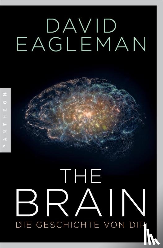 Eagleman, David - The Brain