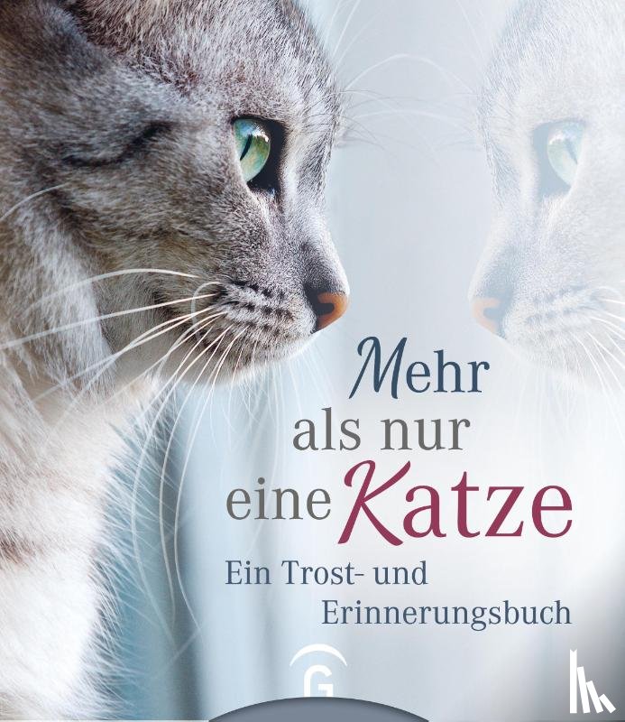 - Mehr als nur eine Katze