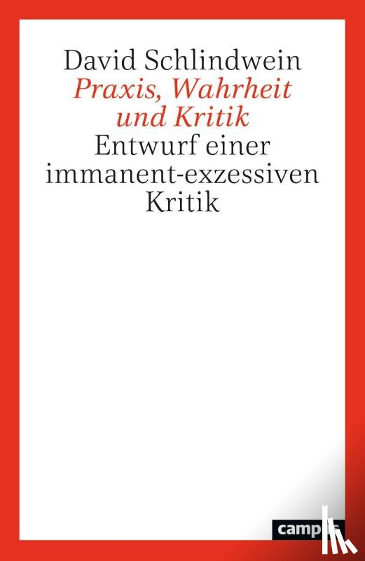 Schlindwein, David - Praxis, Wahrheit und Kritik