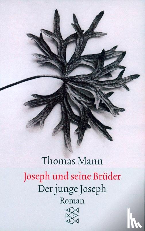 Mann, Thomas - Joseph und seine Brüder II. Der junge Joseph