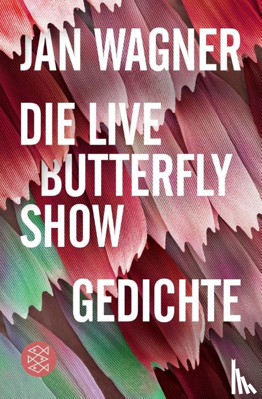 Wagner, Jan - Die Live Butterfly Show