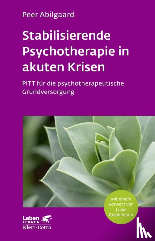 Abilgaard, Peer - Stabilisierende Psychotherapie in akuten Krisen (Leben Lernen, Bd. 254)