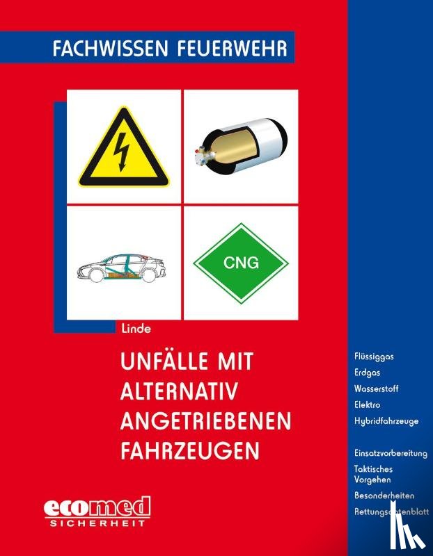 Linde, Christof - Unfälle mit alternativ angetriebenen Fahrzeugen