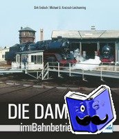 Endisch, Dirk, Kratzsch-Leichsenring, Michael U. - Die Dampflok im Bahnbetriebswerk