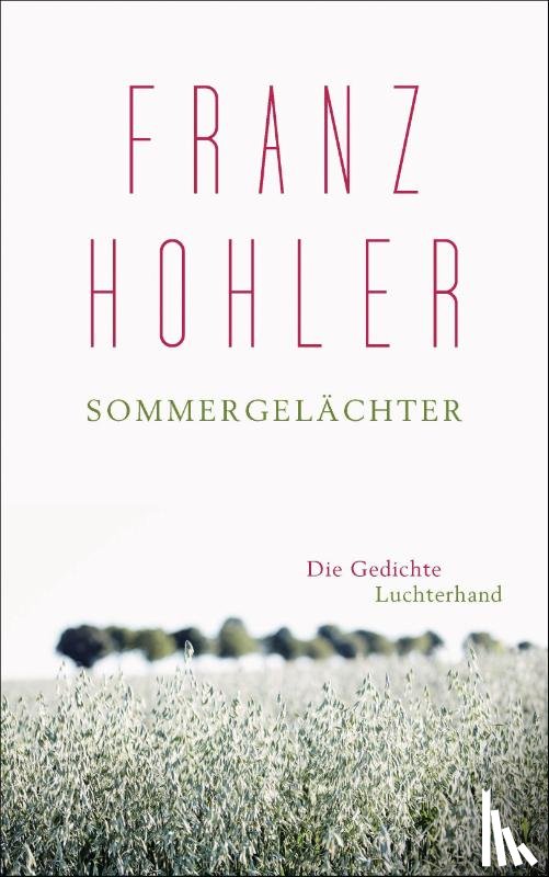 Hohler, Franz - Sommergelächter
