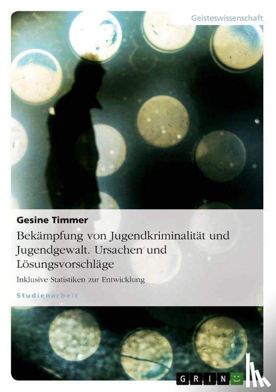 Gesine Timmer - Bek mpfung Von Jugendkriminalit t Und Jugendgewalt. Ursachen Und L sungsvorschl ge