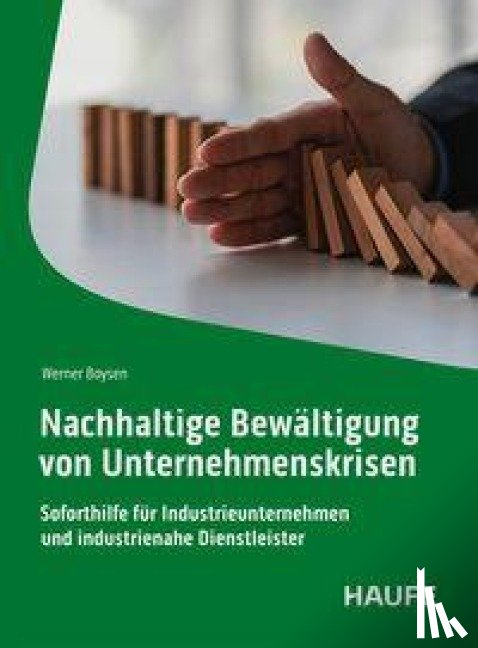 Boysen, Werner - Nachhaltige Bewältigung von Unternehmenskrisen