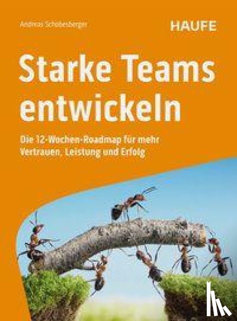 Schobesberger, Andreas - Starke Teams entwickeln