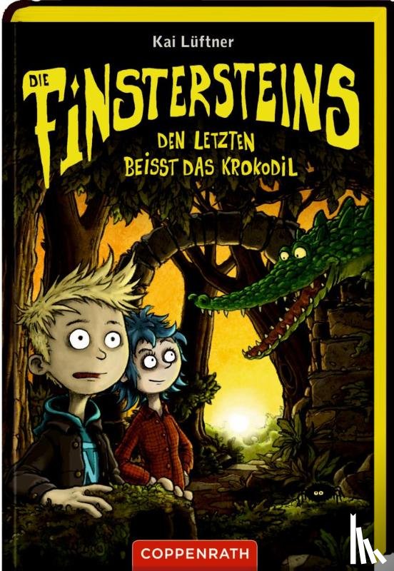 Lüftner, Kai - Die Finstersteins - Band 3