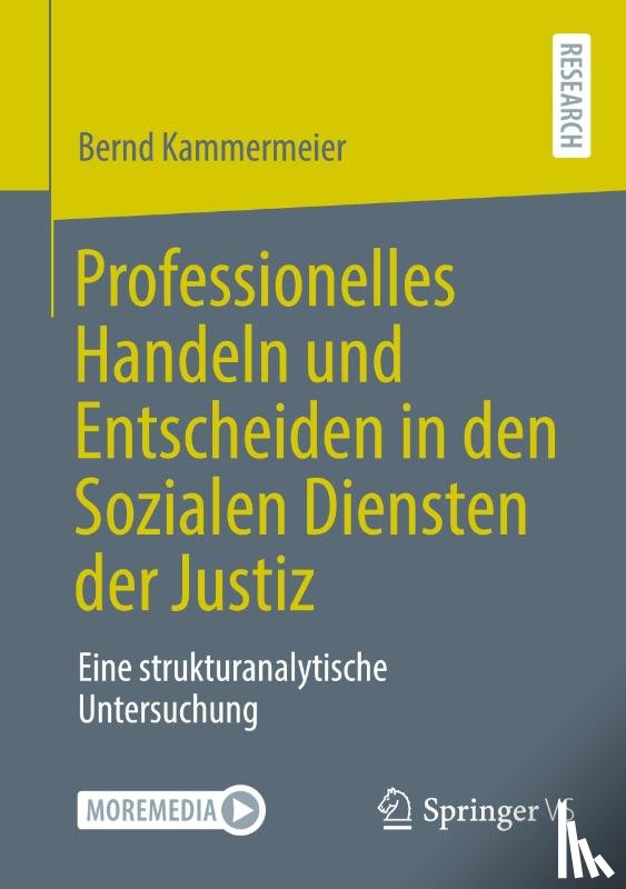 Kammermeier, Bernd - Professionelles Handeln und Entscheiden in den Sozialen Diensten der Justiz
