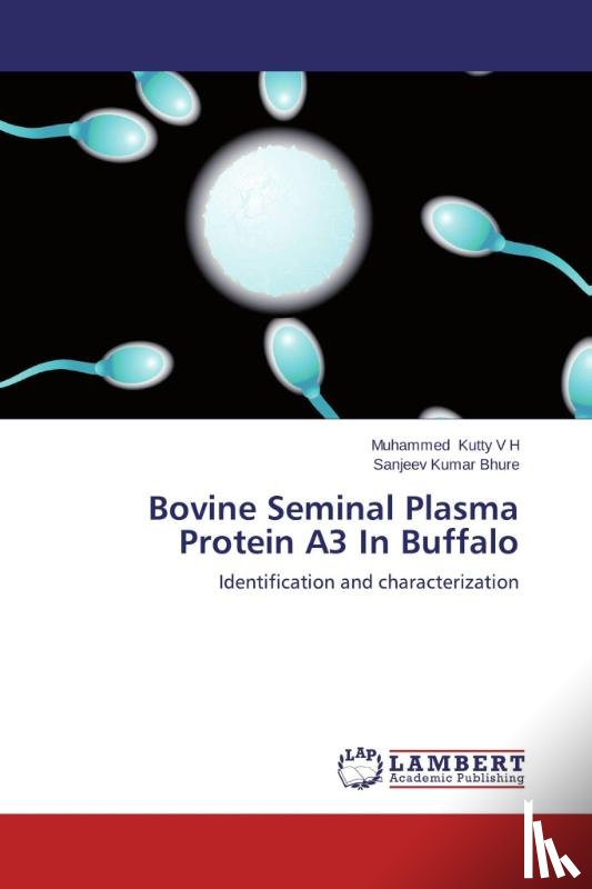 Kutty V H, Muhammed, Bhure, Sanjeev Kumar - Bovine Seminal Plasma Protein A3 In Buffalo