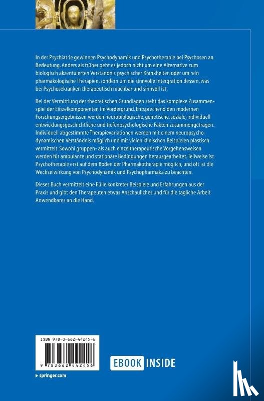 Peter Hartwich, Michael Grube - Psychotherapie Bei Psychosen