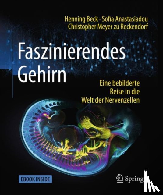 Beck, Henning, Anastasiadou, Sofia, Meyer zu Reckendorf, Christopher - Faszinierendes Gehirn