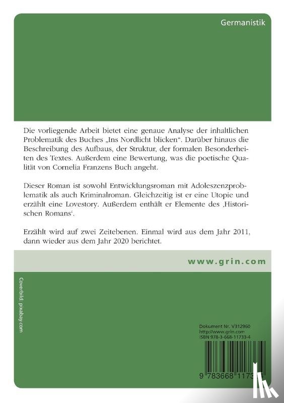 Singer, Gert - Interpretatorisches zu 'Ins Nordlicht blicken' von Cornelia Franz. Vorbereitung auf die Deutschprufung (Realschule) zur Mittleren Reife