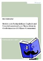 Felsbrecher, Marc - Bericht zum Fachpraktikum Englisch und Unterrichtsentwurf zum Thema Islam in Großbritannien (11. Klasse Gymnasium)