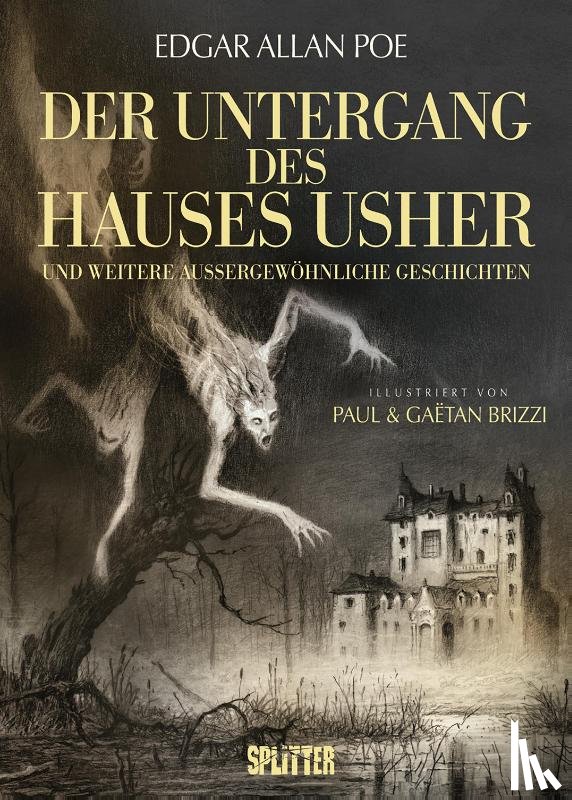 Poe, Edgar Allan - Der Untergang des Hauses Usher (illustrierter Roman)