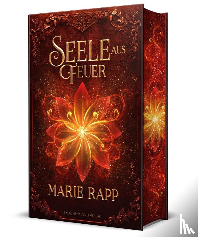 Rapp, Marie - Seele aus Feuer - Seelen-Saga 2 - Schmuckausgabe