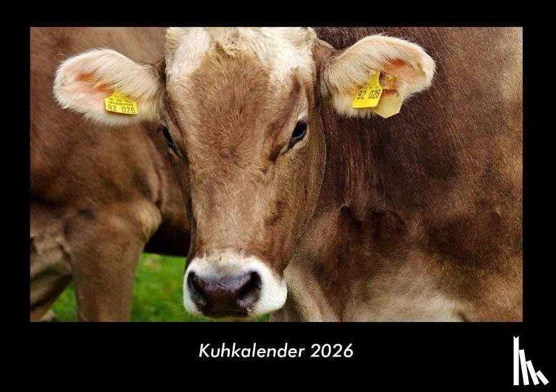 Tobias Becker - Kuhkalender 2026 Fotokalender DIN A3
