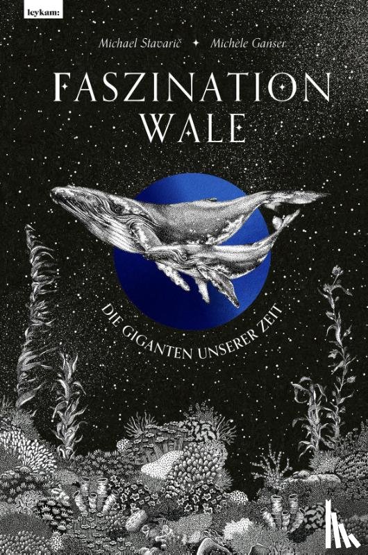 Stavaric, Michael - Faszination Wale - Die Giganten unserer Zeit