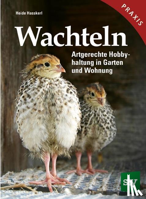 Hasskerl, Heide - Wachteln