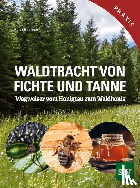 Buchner, Peter - Waldtracht von Fichte und Tanne