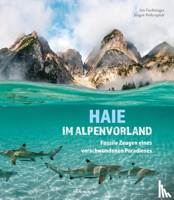 Feichtinger, Iris, Pollerspöck, Jürgen - Haie im Alpenvorland