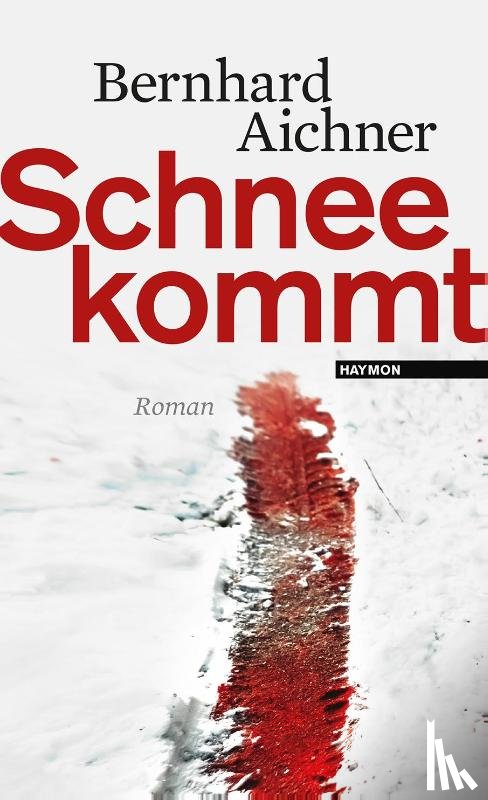 Aichner, Bernhard - Schnee kommt