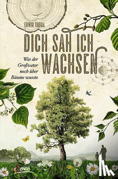 Thoma, Erwin - Dich sah ich wachsen