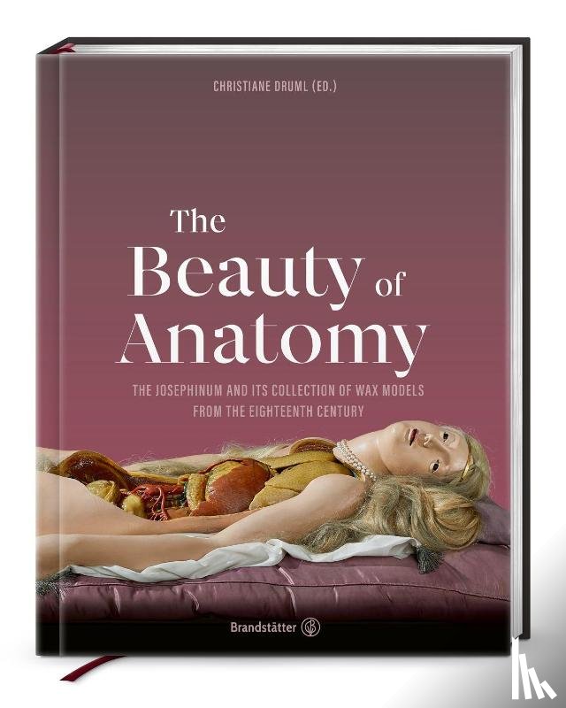  - The Beauty of Anatomy