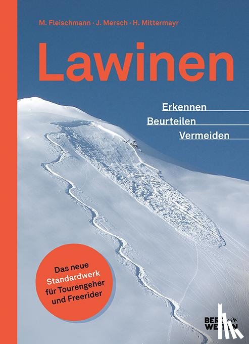 Mersch, Jan, Fleischmann, Markus, Mittermayer, Helmut - Lawinen