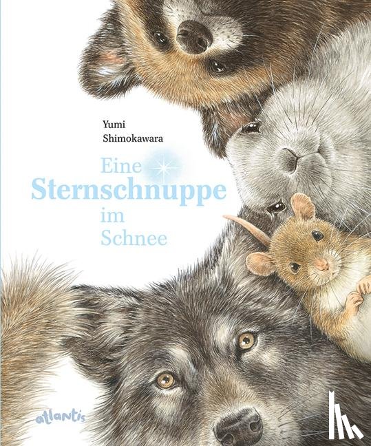Shimokawara, Yumi - Eine Sternschnuppe im Schnee