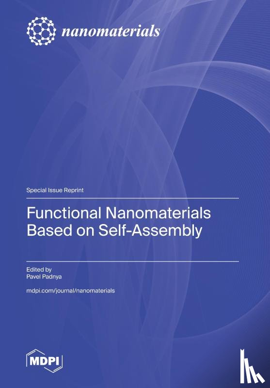 Padnya, Pavel - Functional Nanomaterials Based on Self-Assembly