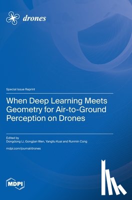 Li, Dongdong - When Deep Learning Meets Geometry for Air-to-Ground Perception on Drones