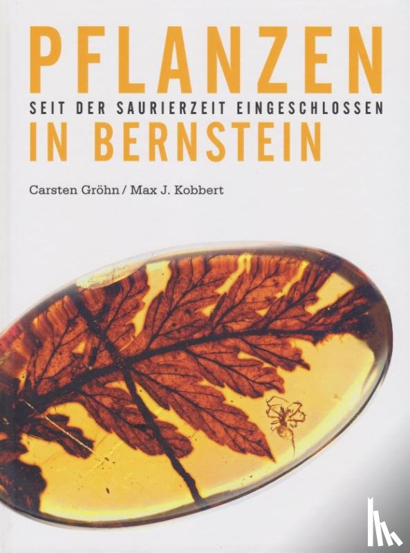 Ambertop, Gröhn, Carsten - Pflanzen in Bernstein