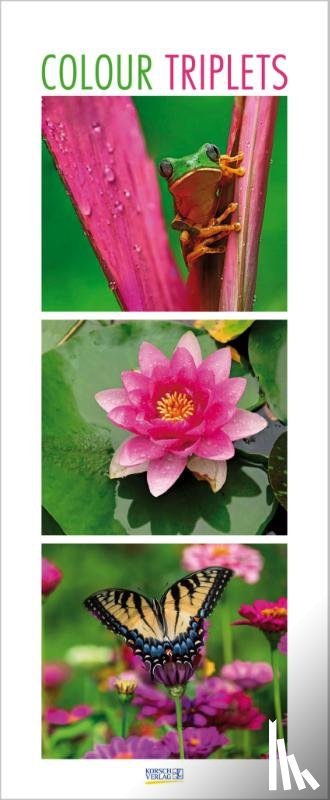  - Colour Triplets 2026