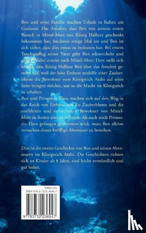 Ostermeier, Markus - Ben und die Blume des Vergessens